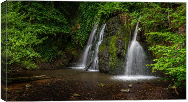 Top Falls at Fairy Glen Nature Reserve Canvas Print by George Robertson
