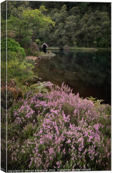 Purple heather and reflections of an Old Boathouse on Loch Chon, Scotland Canvas Print by George Robertson