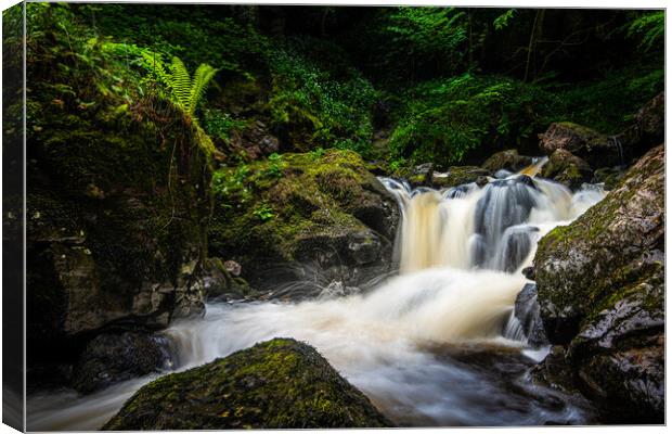 Waterfall on Kirk Burn Canvas Print by George Robertson