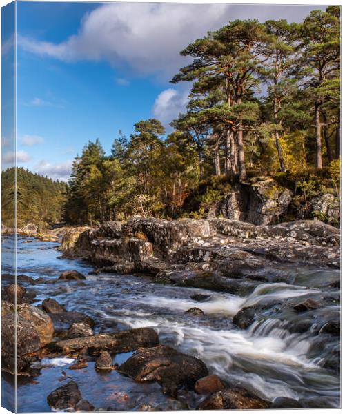 The River Affric in Scottish Highlands Canvas Print by George Robertson