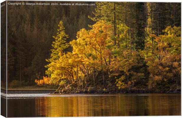 Autumn gold at Loch Ard Canvas Print by George Robertson