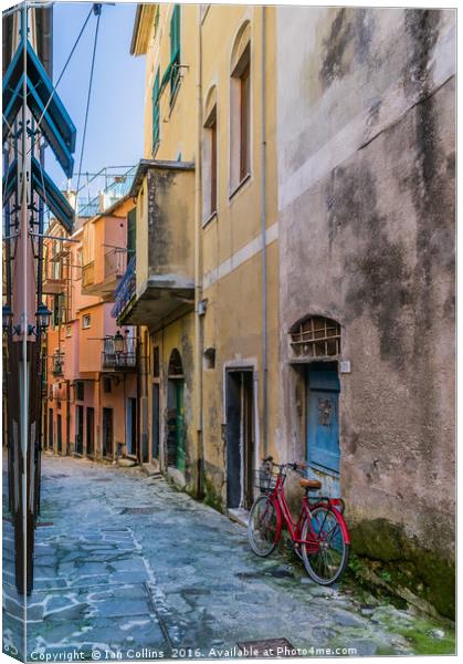 Backstreet in Monterosso Canvas Print by Ian Collins