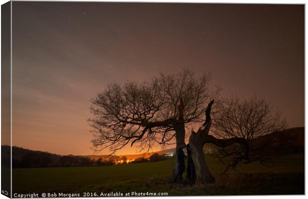        Old Oak Tree At Night                       Canvas Print by Bob Morgans