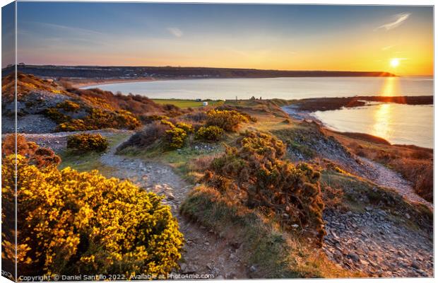 Port Eynon Bay, Gower Canvas Print by Dan Santillo