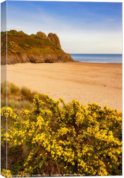 Tor Bay and Great Tor, Gower Canvas Print by Dan Santillo