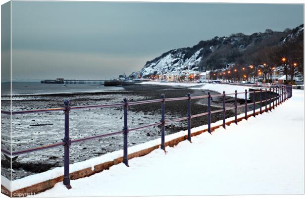 Mumbles in the snow Canvas Print by Dan Santillo