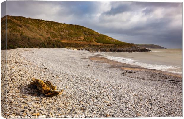 Pwlldu Bay, Gower Canvas Print by Dan Santillo