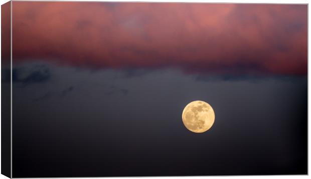 Moonrise at Sunset Canvas Print by Jon Rendle