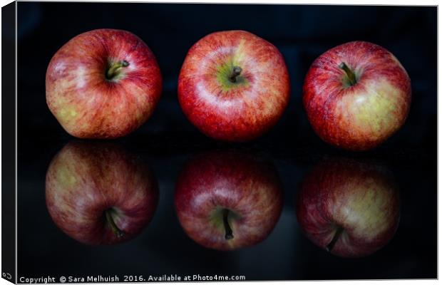 a trio of apples Canvas Print by Sara Melhuish