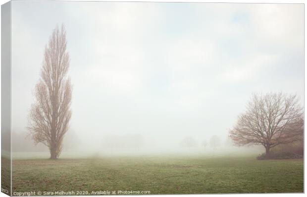 Two trees in the fog Canvas Print by Sara Melhuish