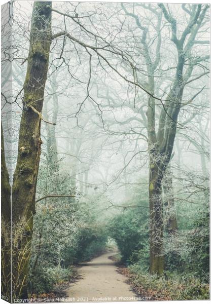 Frosty bushes Canvas Print by Sara Melhuish