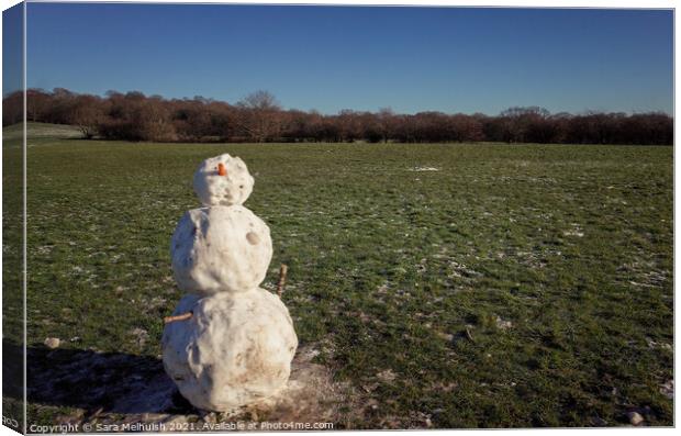 Snowman in a field Canvas Print by Sara Melhuish