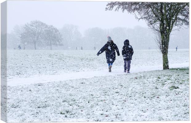 A stroll with a friend in the snow Canvas Print by Sara Melhuish