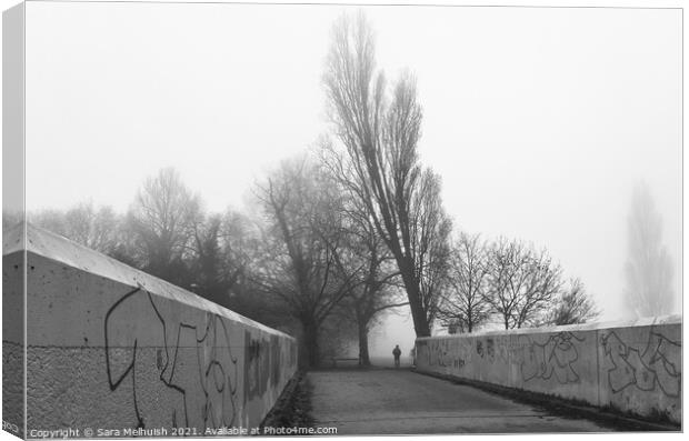 London suburbia in the fog Canvas Print by Sara Melhuish