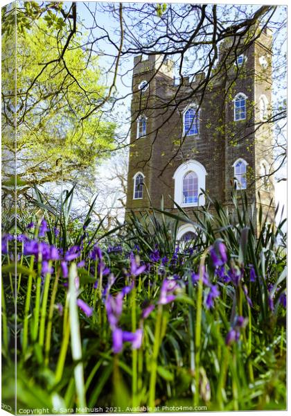 Sevendroog Castle and bluebells Canvas Print by Sara Melhuish