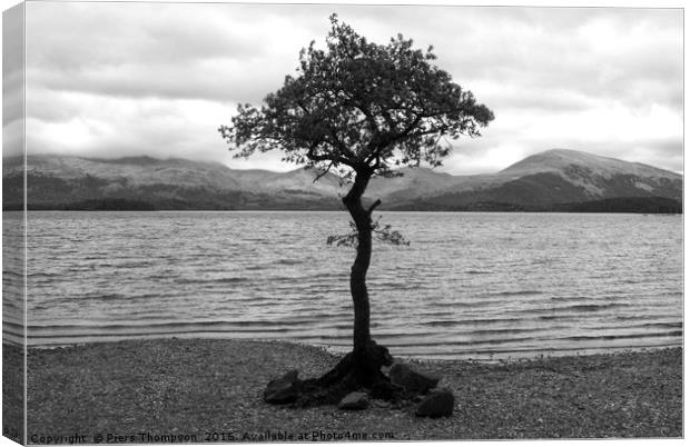 Tree in Loch Lomond Canvas Print by Piers Thompson