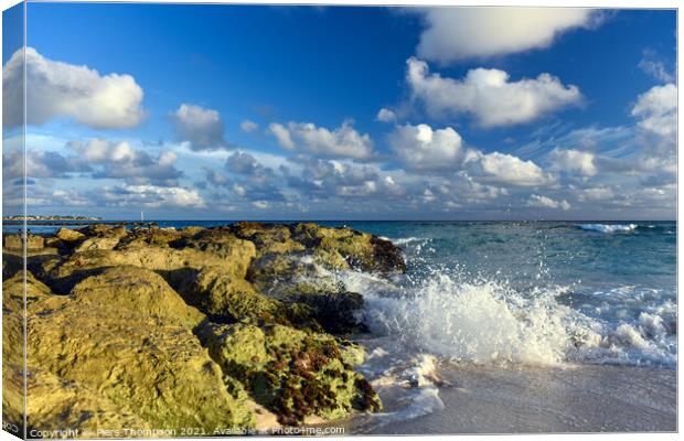 Dover Beach in Barbados Canvas Print by Piers Thompson