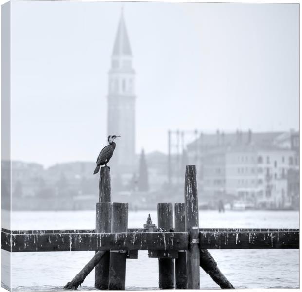 Cormorant A Venezia Canvas Print by Andy Walker