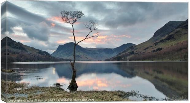 Lone tree at Buttermere Canvas Print by Russell Burton