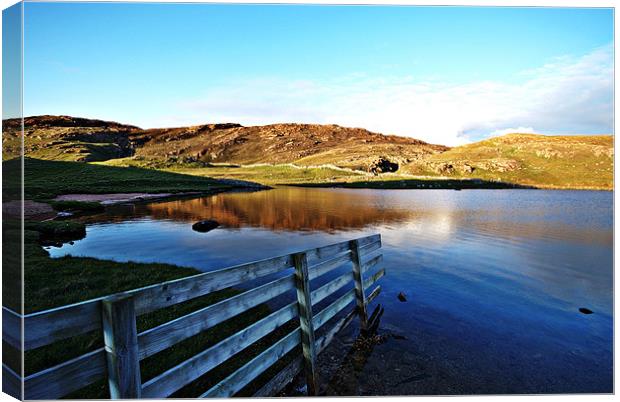 The Fence Canvas Print by Gary Buchan