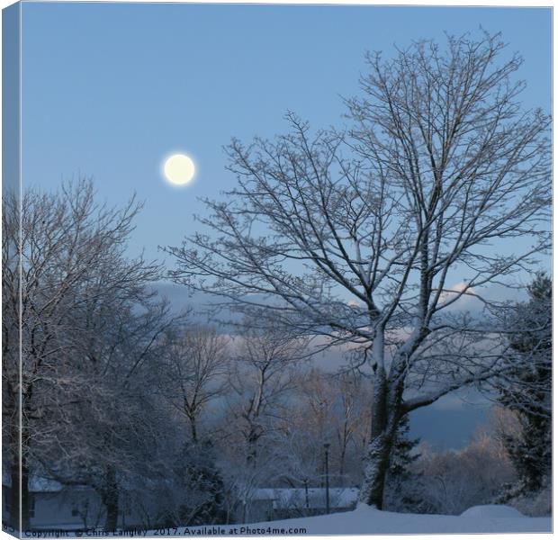 Moonlight on the first snowfall Canvas Print by Chris Langley