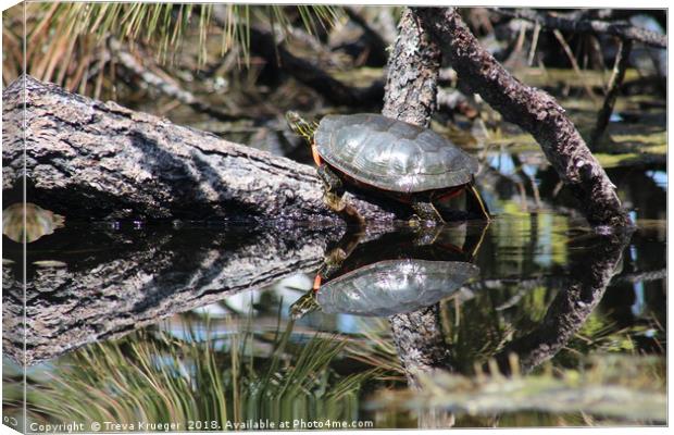 Mirror Image Canvas Print by Treva Krueger