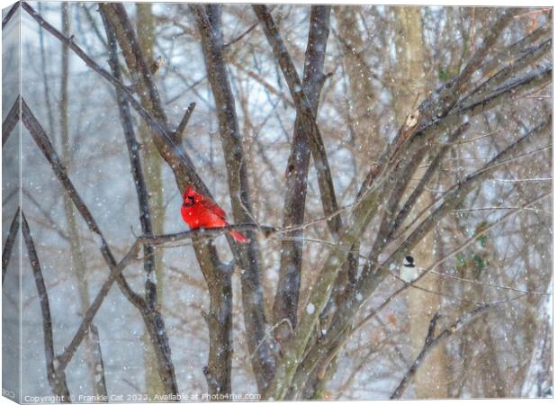Cardinal and Chickadee Canvas Print by Frankie Cat