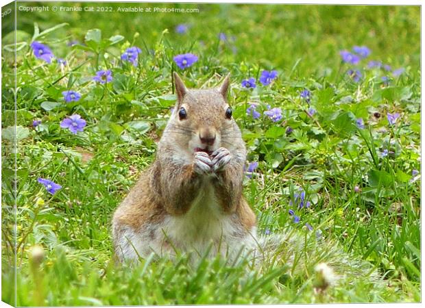 Squirrel Amongst Wild Violets Canvas Print by Frankie Cat