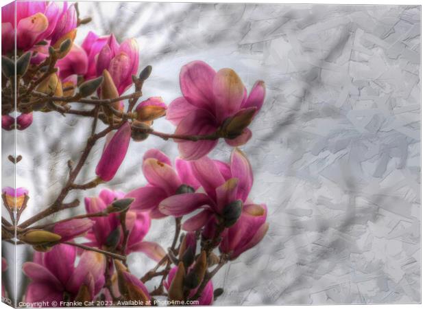 Tulip Tree Blossoms Canvas Print by Frankie Cat