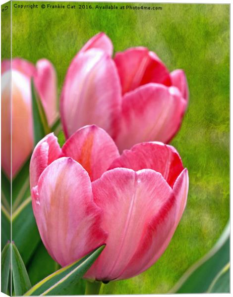 Pink Tulips Canvas Print by Frankie Cat