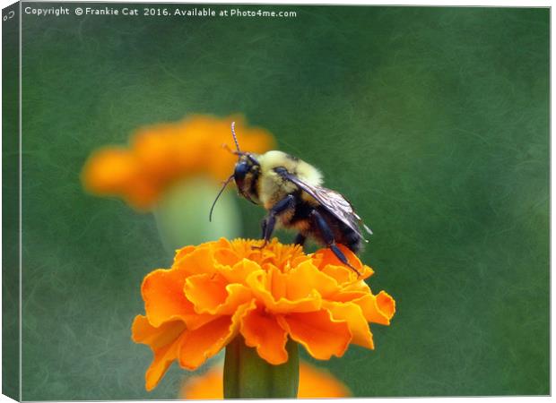 Busy Bee Canvas Print by Frankie Cat