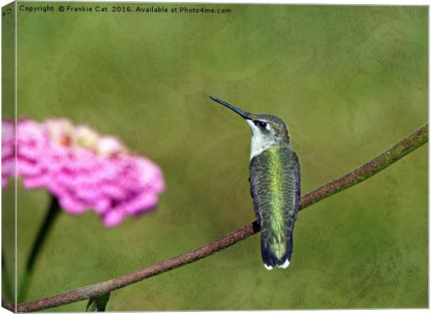 Hummingbird and Zinnia Canvas Print by Frankie Cat