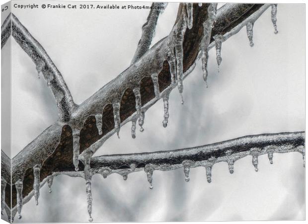 Icy Branch Canvas Print by Frankie Cat