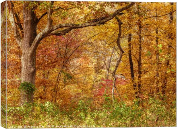 Autumn Forest Canvas Print by Frankie Cat