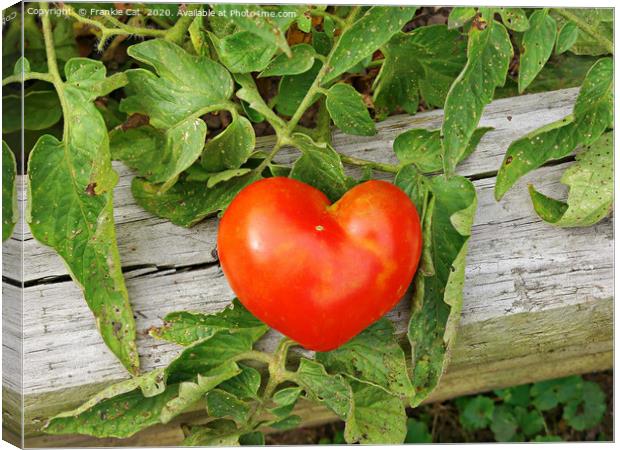 Heart Shaped Tomato Canvas Print by Frankie Cat