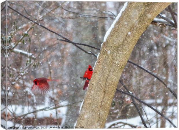 Cardinals in the Snow Canvas Print by Frankie Cat