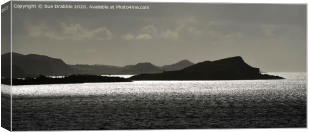 Light on Loch Melfort Canvas Print by Susan Cosier