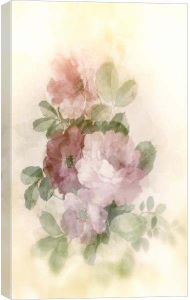 Bush roses Canvas Print by Dagmar Giers