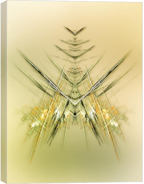 Still life - fly  Canvas Print by Dagmar Giers
