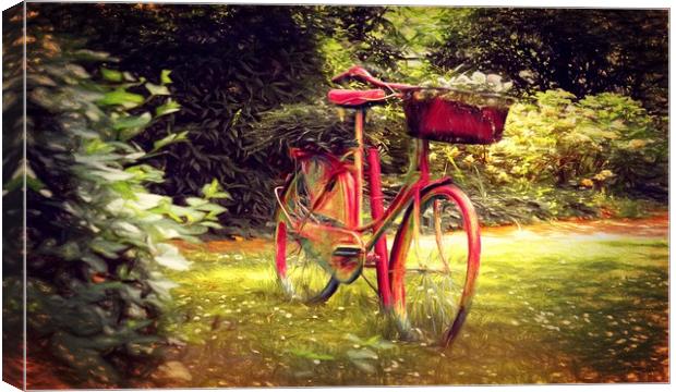 forgotten bicycle  Canvas Print by Dagmar Giers