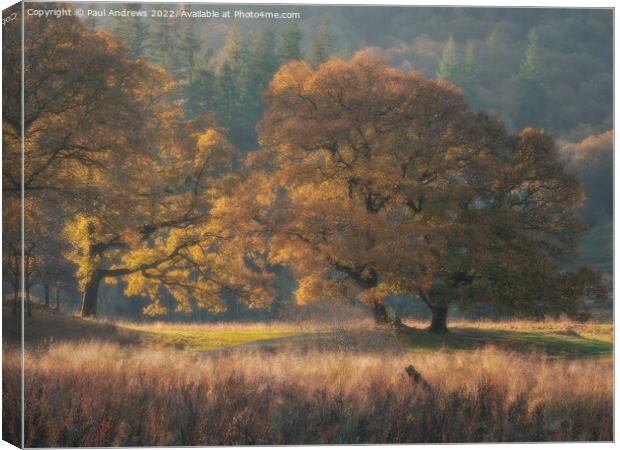 Brathay Gold Canvas Print by Paul Andrews