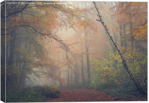 Whitwell Woods Canvas Print by Paul Andrews