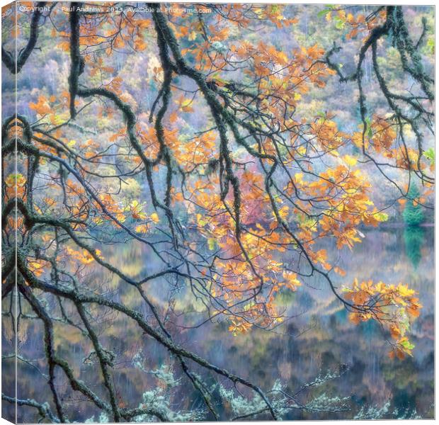 Autumn Gold Canvas Print by Paul Andrews