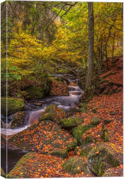 Autumn in Wyming Brook 2 Canvas Print by Paul Andrews