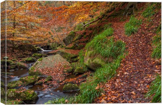 Autumn in Padley Gorge  Canvas Print by Paul Andrews