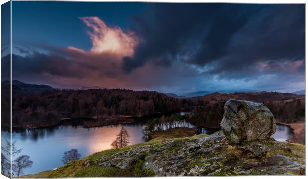 Tarn Hows Memorial Stone Canvas Print by Paul Andrews