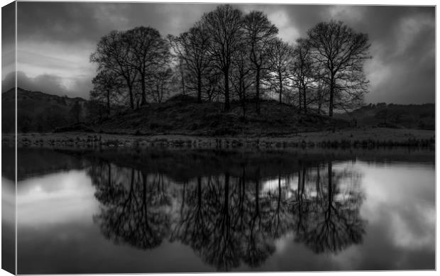 Elterwater Trees Canvas Print by Paul Andrews
