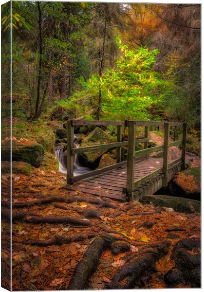 Wyming Bridge Canvas Print by Paul Andrews