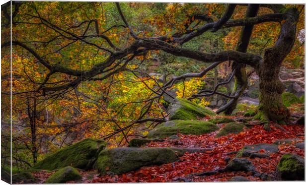 Autumn in the Gorge Canvas Print by Paul Andrews