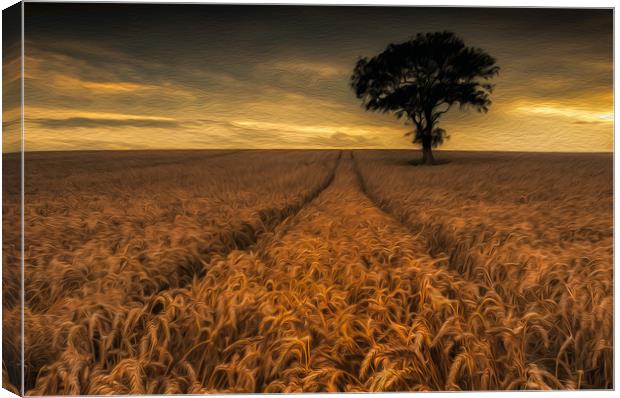Harvest Time #3 Canvas Print by Paul Andrews